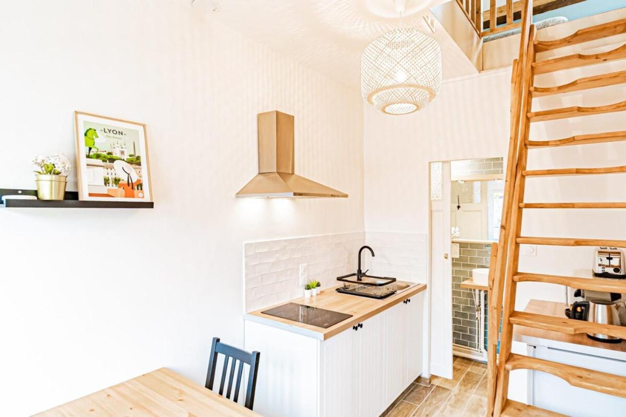 Duplex Poizat - Joli Appartement - Віллербанн Екстер'єр фото